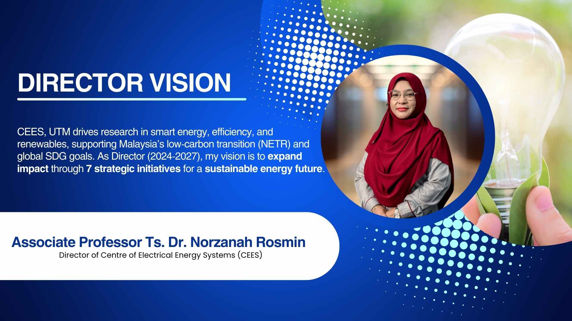 Director vision (1)