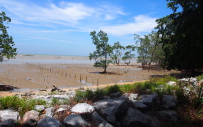 Community Service: Pantai Cahaya Negeri, Port Dickson