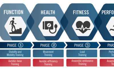 Peranan Bidang Sains Sukan dan Sains Kesihatan Sewaktu Movement Control Order (MCO) 2020
