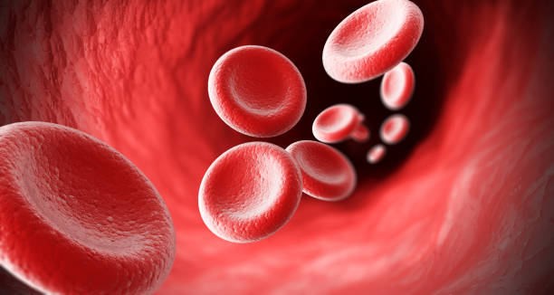 ChitoE Vascular Membrane Pitch to Pharmaniaga Berhad