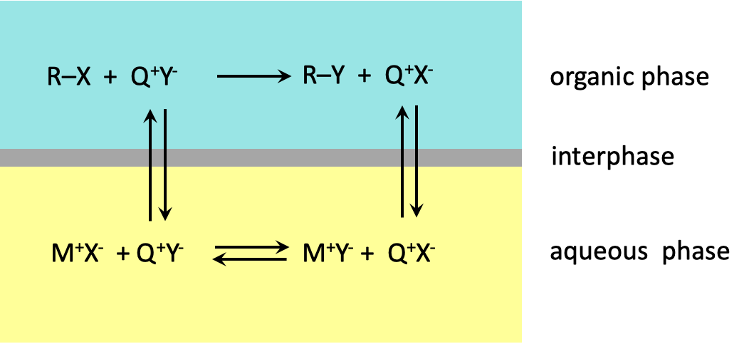 Catalysis in the immiscible liquid-liquid system