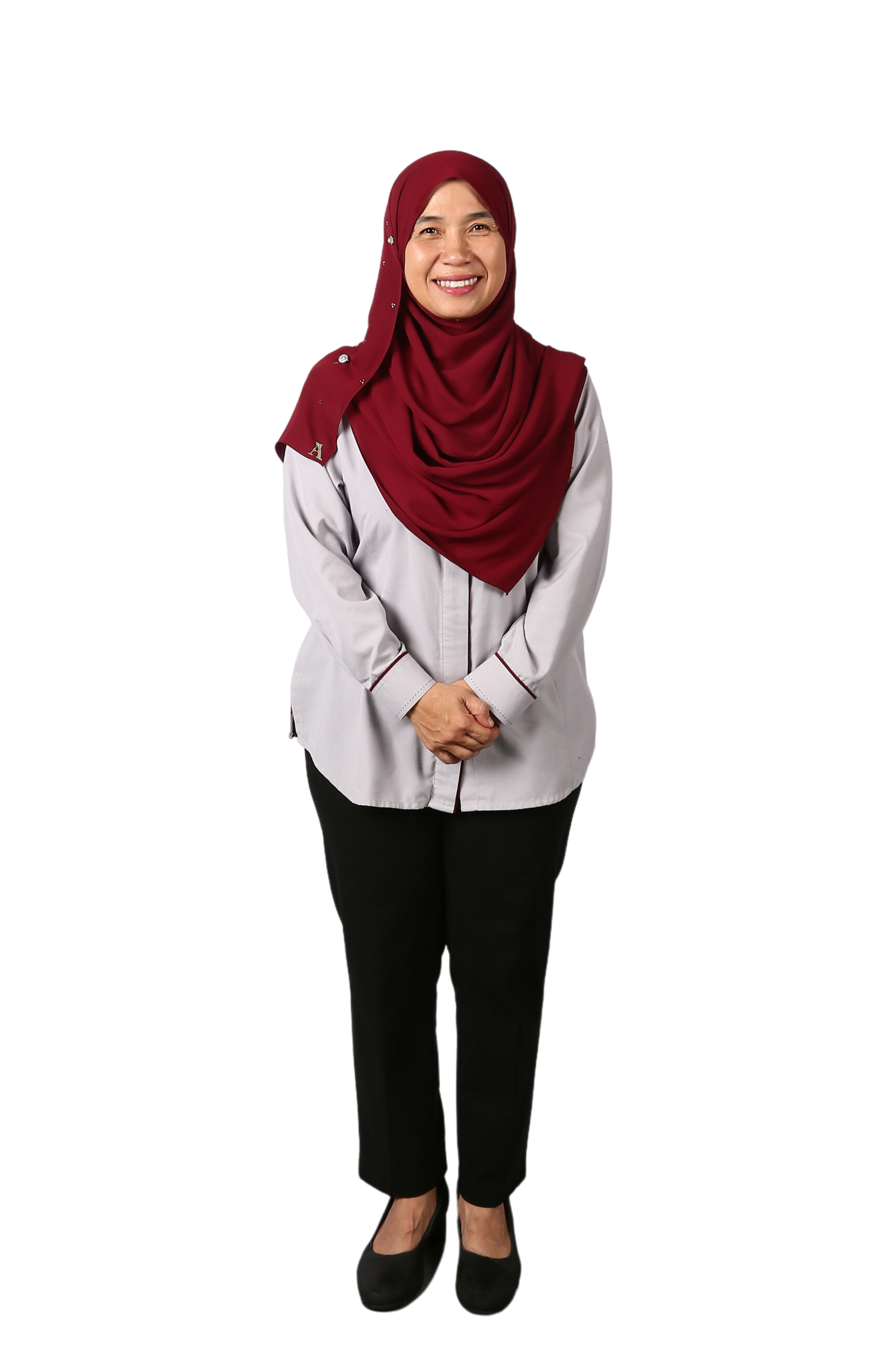 Prof. Ir. Dr. Haslenda Hashim