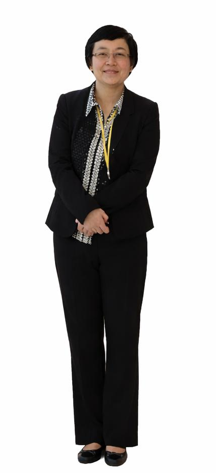 Prof. Dr Lee Chew Tin