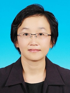 PROF. DR. LEE CHIEW TIN