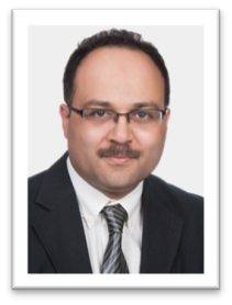 prof hesham