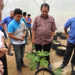 CCIN-FELDA SENING 04