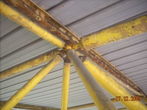 DSCN6375