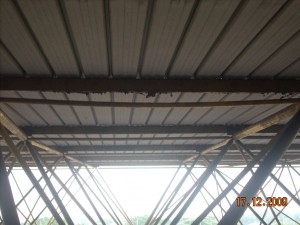 DSCN6384