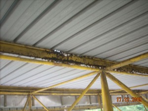 DSCN6387