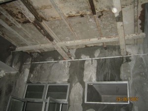 IMG_0033